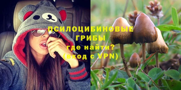 a pvp Белокуриха