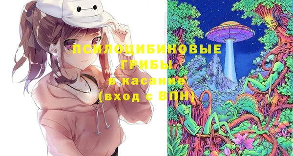 a pvp Белокуриха